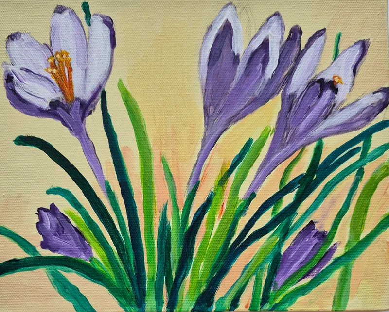 Crocus